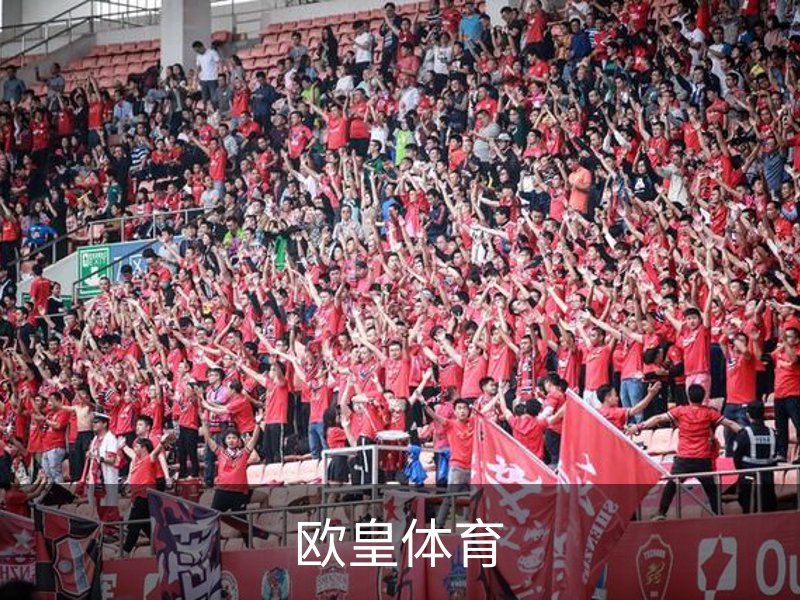 欧皇体育概况